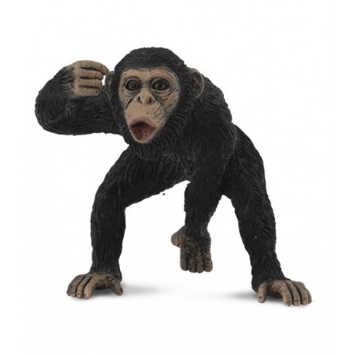 COLLECTA CHIMPANCE MACHO -M- 88492 COLLECTA  90188492