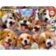 EDUCA PUZZLE  1000 SELFIE DE PERRITOS   19931