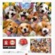 EDUCA PUZZLE  1000 SELFIE DE PERRITOS   19931