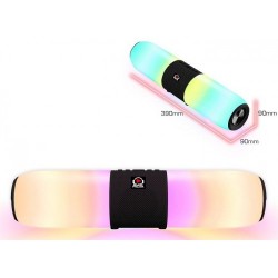 CN24 REIG Super Bafle recargable 20W Bluetooth, USB,  Luces  39x17x13  SA6611